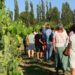Le Luberon célèbre l&rsquo;été avec les Sunsets Vignerons