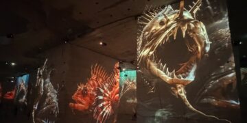 Baux-de-Provence, Carrières des lumières, Océan, Plongée grand format dans les profondeurs du vivant