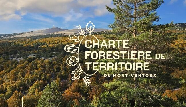 Une charte forestière pour protéger la foret du Parc naturel régional du Mont Ventoux