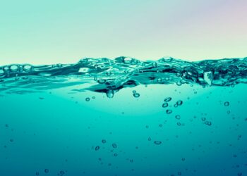 Sécheresse : le Vaucluse serre la vis sur l’eau