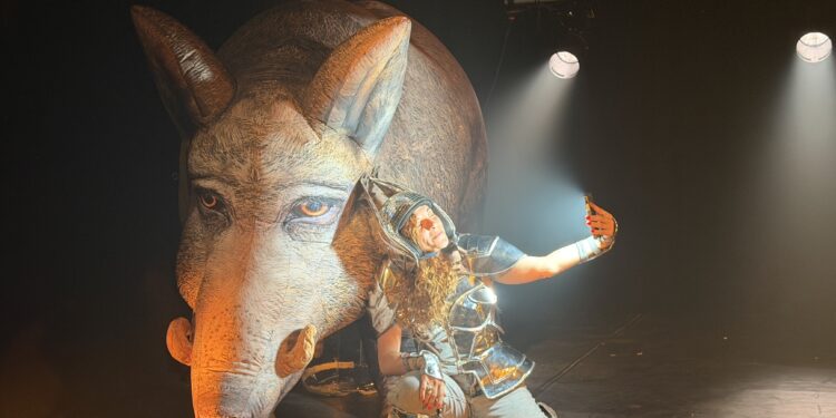Festival off, Chapelle du verbe incarné, Un animal sauvage peut croiser votre route