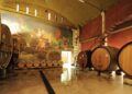 Pour immortaliser ses 100 ans, la Cave Demazet de Morières organise la Nuit des Vendanges