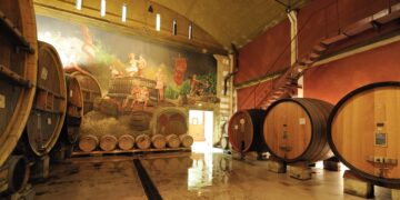 Pour immortaliser ses 100 ans, la Cave Demazet de Morières organise la Nuit des Vendanges