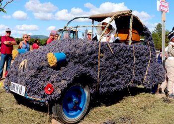La célèbre Fête de la Lavande de Sault revient pour une 39e édition