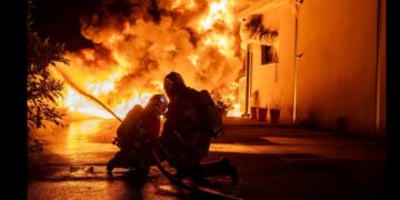 Incendies, la Chambre régionale d’agriculture de Paca veut faire barrage aux flammes