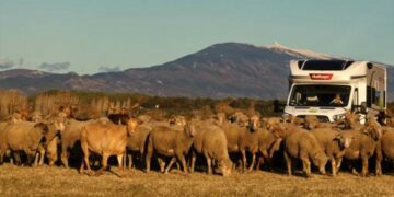 France passion, la découverte du terroir en camping-car