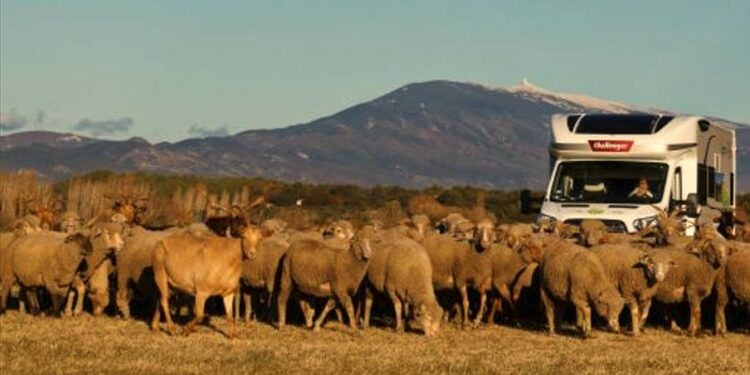 France passion, la découverte du terroir en camping-car