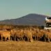 France passion, la découverte du terroir en camping-car