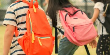 Rentrée : 20,3 M€ pour les familles vauclusiennes