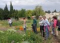 Volubilis, Au lac du Paty, la nuit appartient aux chauves-souris