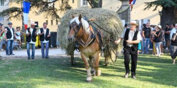 Avignon célèbre l&rsquo;agriculture et les traditions avec la Fête des Foins