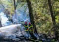 L’Ordre des experts-comptables PACA souhaite faciliter l’engagement des pompiers volontaires en entreprise