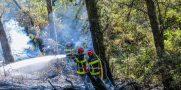 L’Ordre des experts-comptables PACA souhaite faciliter l’engagement des pompiers volontaires en entreprise