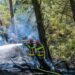 L’Ordre des experts-comptables PACA souhaite faciliter l’engagement des pompiers volontaires en entreprise