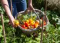 Avignon : le festival Bien Bon nous invite à repenser notre alimentation