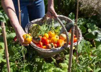 Avignon : le festival Bien Bon nous invite à repenser notre alimentation