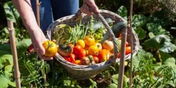 Avignon : le festival Bien Bon nous invite à repenser notre alimentation