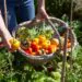 Avignon : le festival Bien Bon nous invite à repenser notre alimentation