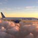 Entre New York et la Provence, il n’y a qu’un vol
