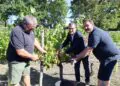 De la vigne à la bouteille pour la 22e récolte de la Cove