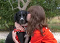 (Vidéo) Rencontrer les chiens guides de la Fondation Gaillanne à l&rsquo;Isle sur la Sorgue