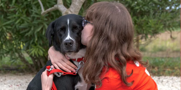 (Vidéo) Rencontrer les chiens guides de la Fondation Gaillanne à l’Isle sur la Sorgue