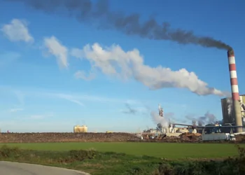 Fibre excellence à Tarascon : l’État ‘liquide’ le liquidateur