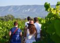 Avec Vignobles en scène, les vignerons du Luberon et du Ventoux prolongent l’été