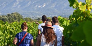 Avec Vignobles en scène, les vignerons du Luberon et du Ventoux prolongent l’été