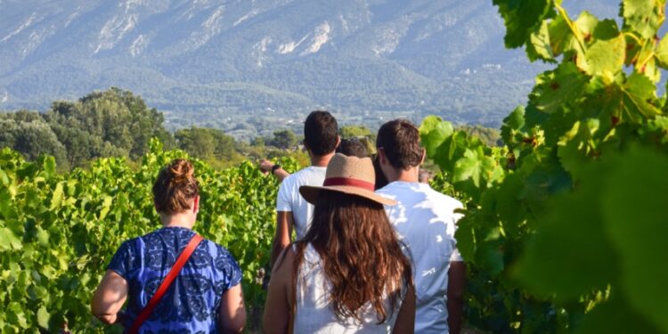 Avec Vignobles en scène, les vignerons du Luberon et du Ventoux prolongent l’été