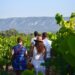 Avec Vignobles en scène, les vignerons du Luberon et du Ventoux prolongent l’été