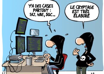 Le site des impôts piraté vu par Wingz pour L&rsquo;Echo du Mardi