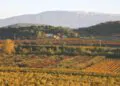 Le Parc du Mont-Ventoux s&rsquo;interroge sur les terroirs comme outils de développement local