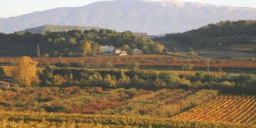 Le Parc du Mont-Ventoux s&rsquo;interroge sur les terroirs comme outils de développement local