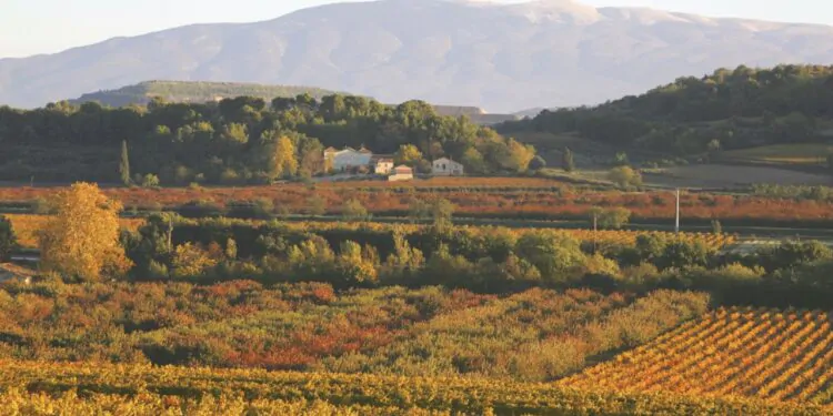 Le Parc du Mont-Ventoux s’interroge sur les terroirs comme outils de développement local