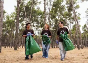 Le Point Info Jeunes de Carpentras met la lumière sur le service civique