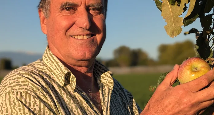 Les pommes Juliet résistent aux canicules et font pousser la solidarité en Vaucluse