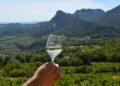 Vignoble : Beaumes-de-Venise voit la vie en blanc
