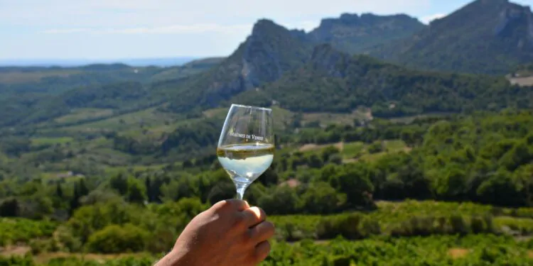 Vignoble : Beaumes-de-Venise voit la vie en blanc