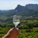 Vignoble : Beaumes-de-Venise voit la vie en blanc