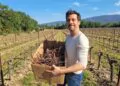 Une start-up de Pertuis donne une deuxième vie au bois de vigne