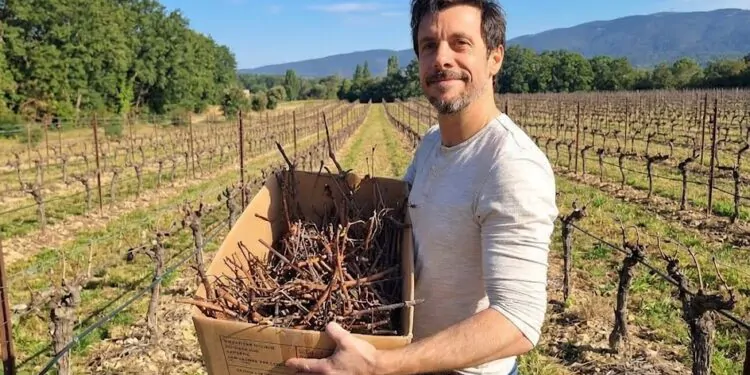 Une start-up de Pertuis donne une deuxième vie au bois de vigne