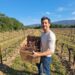 Une start-up de Pertuis donne une deuxième vie au bois de vigne