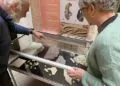 Parc du Luberon : une exposition pour découvrir les empreintes de mondes disparus