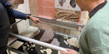 Parc du Luberon : une exposition pour découvrir les empreintes de mondes disparus